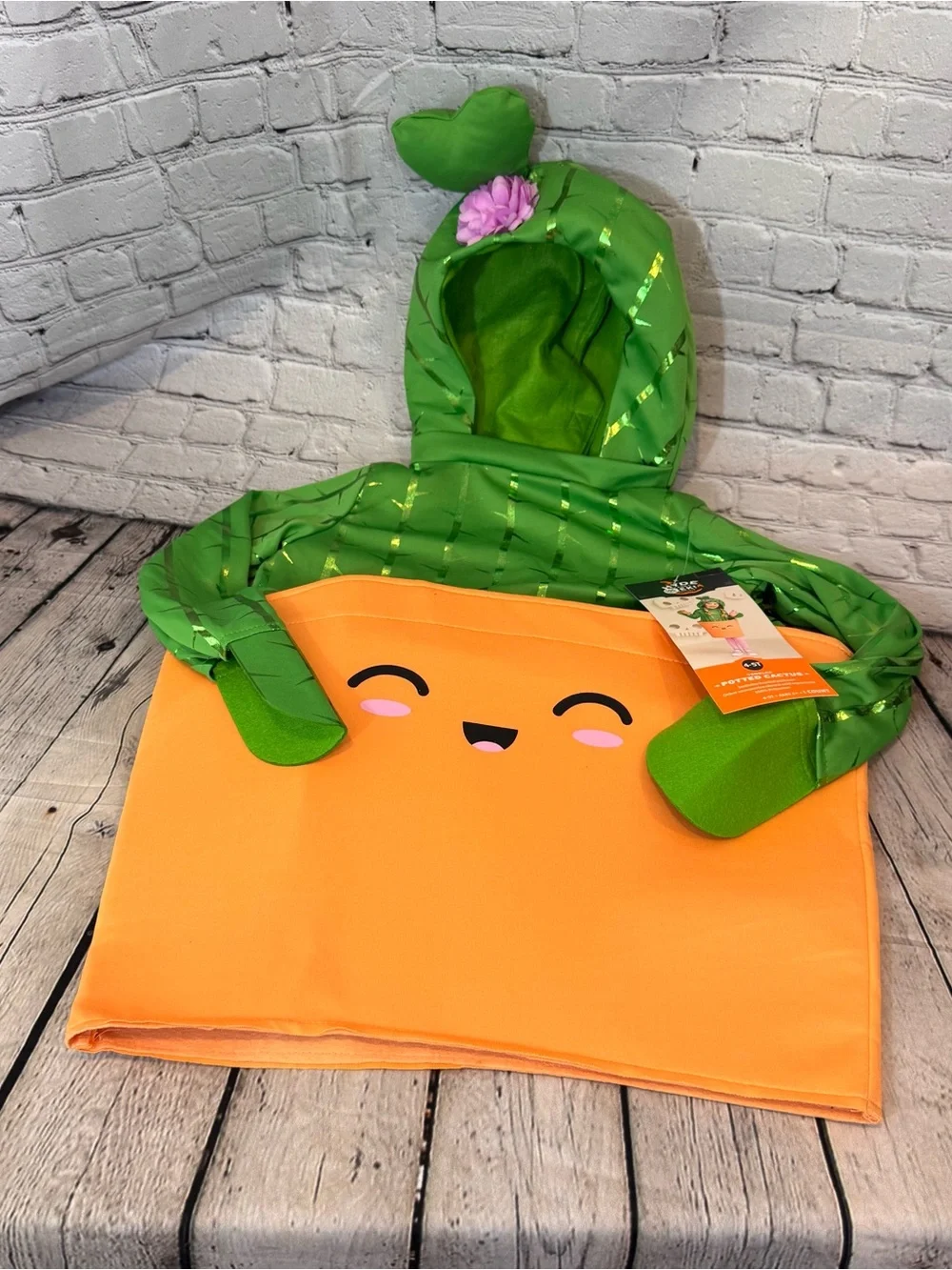 Target Hyde & EEK Potted Cactus Kids Halloween Costume